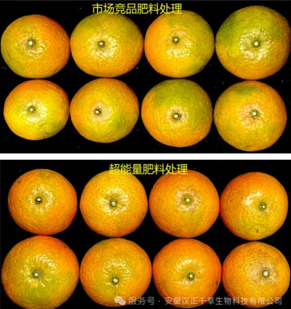 a5.jpg