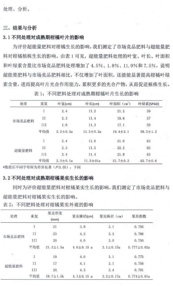 b3.jpg